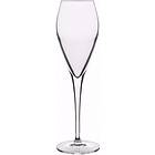 Luigi Bormioli Prestige Champagne Glass 20cl 4-pack