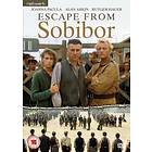 Escape from Sobibor (UK) (DVD)