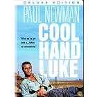 Cool Hand Luke (UK) (DVD)
