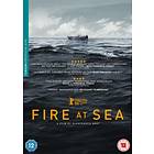 Fire at Sea (UK) (DVD)