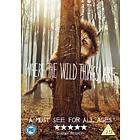 Where the Wild Things Are (UK) (DVD)