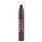 Burt's Bees Gloss Lip Crayon