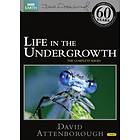 Life in the Undergrowth - The Complete Series (UK) (DVD)