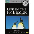 Life in the Freezer - David Attenborough (UK) (DVD)