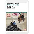 Larks on a String (UK) (DVD)