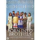 Born Into Brothels: Calcutta's Red Light Kids (UK) (DVD)