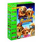 The Buddies Collection (UK) (DVD)