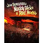 Joe Bonamassa: Muddy Wolf at Red Rocks (DVD)