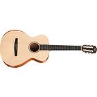 Taylor A12-N