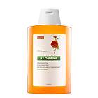 Klorane Anti Dandruff & Sanitary Shampoo 200ml