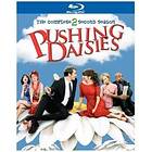 Pushing Daisies - The Complete Season 2 (US) (Blu-ray)