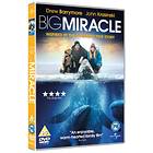 Big Miracle (UK) (DVD)