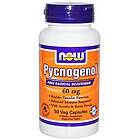 Now Foods Pycnogenol 60mg 50 Capsules
