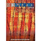 Sin Fronteras/Without Borders (US) (DVD)