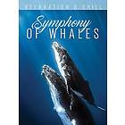 Symphony of Whales (US) (DVD)