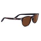 Serengeti Andrea Polarized Photochromic