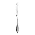 Robert Welch Bourton Bright För- & Efterrättskniv 210mm