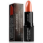 Antipodes Moisture Boost Natural Lipstick 4g