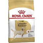 Royal Canin BHN Labrador Retriever 3kg