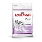 Royal Canin SHN Giant Starter 15kg