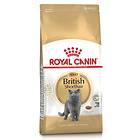 Royal Canin Breed British Shorthair 34 0,4kg