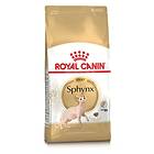 Royal Canin Breed Sphynx 33 10kg