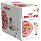 Royal Canin FHN Instinctive Gravy 12x0.085kg