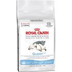 Royal Canin Queen 34 10kg