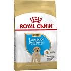 Royal Canin BHN Labrador Retriever Puppy 12kg