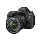 Canon EOS 6D Mark II + 24-105/3.5-5.6 IS STM