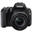 Canon EOS 200D + 18-55/3,5-5,6 IS STM + 50/1,8 STM