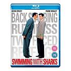 Swimming with Sharks (UK) (DVD)