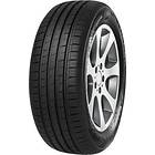 Minerva F209 195/55 R 16 87H