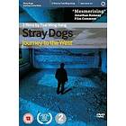 Stray Dogs (UK) (DVD)