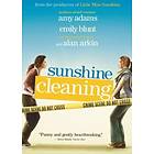 Sunshine Cleaning (DVD)
