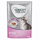 Concept for Life Cat Kitten Pouches 24x0,085kg