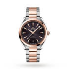 Omega Seamaster Aqua Terra 220.20.41.21.06.001