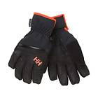 Helly Hansen Alpha Warm Ht Glove (Men's)