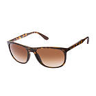 Ray-Ban RB4291