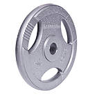 InSportLine Olympic Steel Plate Hamerton 25kg