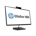 HP EliteOne 1000 G1 i5 8GB 256GB 2LT96EA#UUW