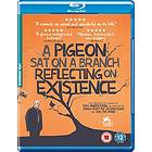 A Pigeon Sat on a Branch Reflecting on Existence (UK) (Blu-ray)