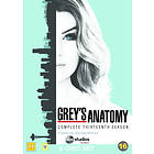 Grey's Anatomy - Sesong 13 (DVD)