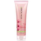 Matrix Biolage Colorlast Aqua Gel Conditioner 250ml