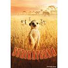 Surikaterna (DVD)