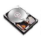 Maxtor DiamondMax 10 6L250R0 16MB 250GB