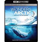 IMAX: Wonders of the Arctic (3D) (US) (Blu-ray)