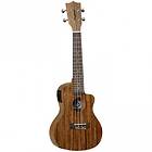 Tanglewood TWT 12E