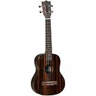 Tanglewood TWT 19