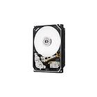 HGST 1EX0213 10TB